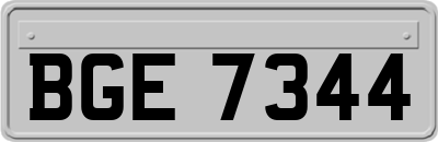 BGE7344