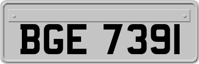 BGE7391
