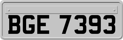 BGE7393