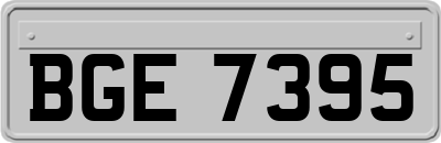 BGE7395