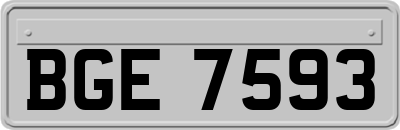 BGE7593