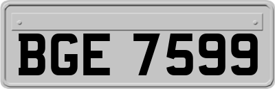 BGE7599
