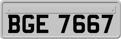 BGE7667
