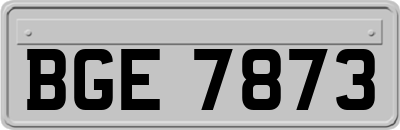 BGE7873