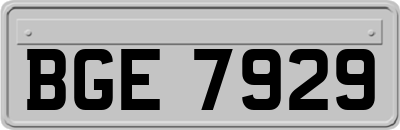 BGE7929