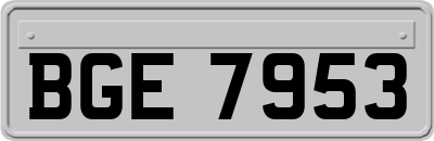 BGE7953