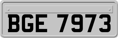BGE7973