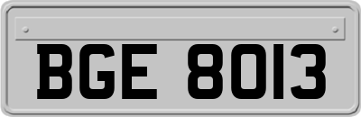 BGE8013