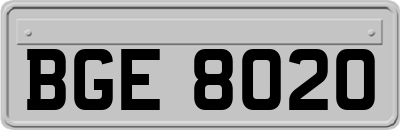 BGE8020