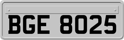 BGE8025