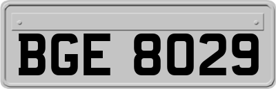 BGE8029