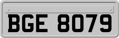 BGE8079