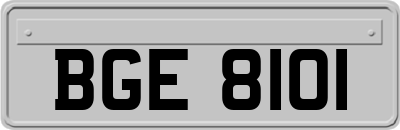 BGE8101