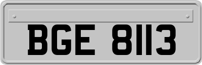 BGE8113