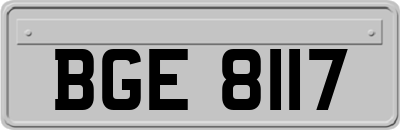 BGE8117