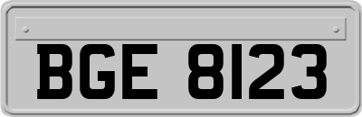 BGE8123