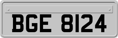 BGE8124