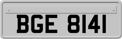 BGE8141