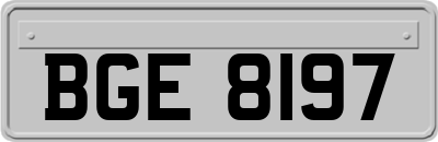 BGE8197