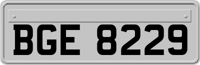 BGE8229