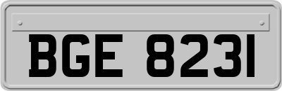 BGE8231