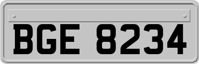 BGE8234