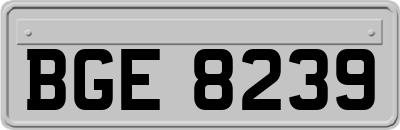 BGE8239