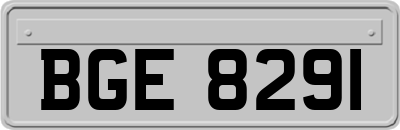 BGE8291