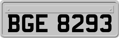 BGE8293
