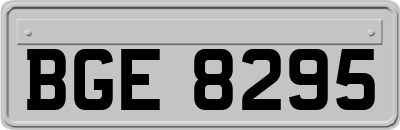 BGE8295