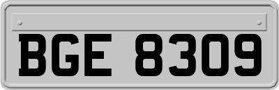 BGE8309