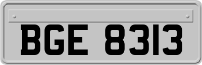 BGE8313