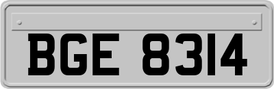 BGE8314