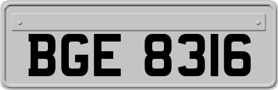 BGE8316