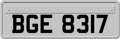 BGE8317