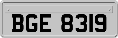 BGE8319