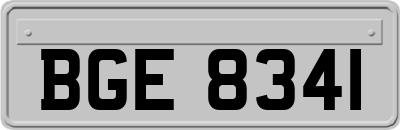 BGE8341