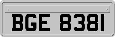BGE8381