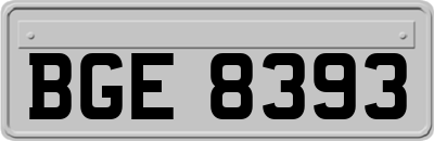 BGE8393
