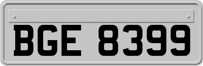 BGE8399