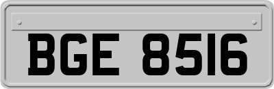 BGE8516
