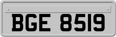 BGE8519