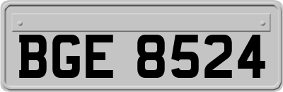 BGE8524