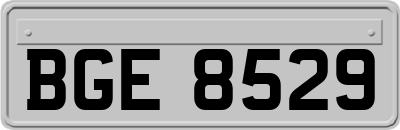 BGE8529