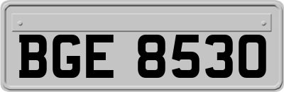 BGE8530