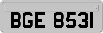 BGE8531