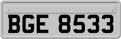BGE8533