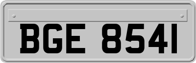 BGE8541