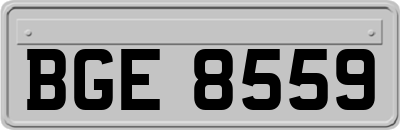 BGE8559
