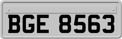 BGE8563